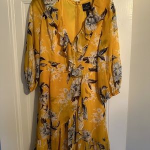 Adrianna Papell dress size 6